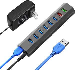 RAOYI Powered USB 3.0 Hub, 8 Ports High Speed USB 3.0 Hub Splitter with 36W Power Adapter, 3.3ft Cable and Smart Fast Charger USB Hub for Laptop, PC, Mobile HDD, Mulitple Devices (Gray)