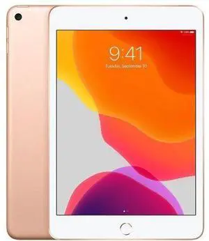 Apple iPad Mini 5 (2019) - 256GB - Gold - WiFi - 7.9 Inch - Premium