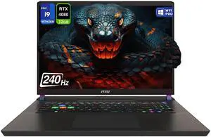 MSI Vector 17 HX Gaming Laptop, Intel i9-14900HX, 32 GB DDR5 RAM, 1 TB PCIe SSD, 17" QHD+ (2560x1600) 240Hz Display, Nvidia G-Force RTX 4080, Backlit Keyboard, W11 Pro, Cosmo Gray