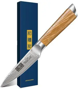 HOSHANHO Damascus Paring Knife 3.75 Inch, Professional 67 Layers Damascus Super Steel Small Fruit Knife, Super Sharp Hand Forged Japanese Paring Knife