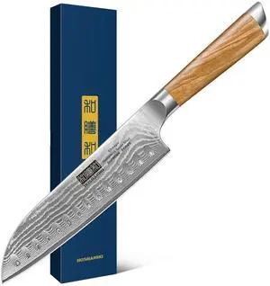 HOSHANHO Damascus Santoku Knife 7 Inch, Professional Japanese Damascus Super Steel Kitchen Knife, Sharp Cooking Knife with Durable Ergonomic Olive Wood Handle