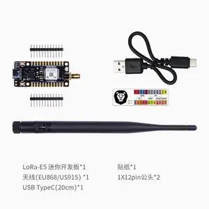 LoRa Mini development board kit STM32WLE5JC Internet of Things Wireless Communication Module