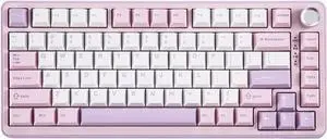 YUNZII B75 PRO Wireless Mechanical Keyboard,75% Layout with Knob,Hot Swap Gasket Custom Structure,Creamy Pre-lubed Switches,RGB Backlit,Bluetooth/Type-C/2.4G for Win/Mac(Milk Switch,Purple)
