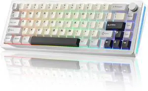 YUNZII AL66 Wireless Mechanical Keyboard,Full Aluminum CNC,65% Knob Control,Bluetooth/2.4G/Wired,Hot Swappable Pre-lubed Switches,Gasket Mounted RGB for Win/Mac(Milk Switch, Silver)