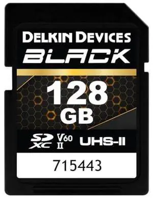 Delkin Devices Black Rugged SDXC Memory Card, UHS-II, C10, U3, V60, Full HD & 8K Video, Fast Speeds Up to 290MB/s Read, 190MB/s Write, Ideal for Photographers and Videographers (128GB)