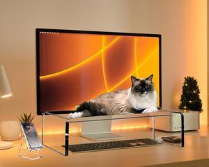 VTZEOTQ Clear Acrylic Monitor Stand Riser 20", Laptop Keyboard Cover cat Proof, Keyboard Protector Anti-Cat Prevent Cats from Touching Keyboard, Clear Monitor Riser for Keyboard Storage