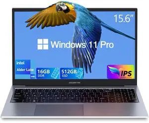 Gaming Laptop,15.6"FHD IPS 1920x1080(180deg Viewing Angle),N100 CPU up to 3.2GHz,16GB DDR4+512GB SSD, WiFi 6&BT5.0, USB 3.2 x3,Supports Type-C Charging,Aluminum Laptop Computer, Win 11 Pro, Space Gray