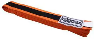 Amber Sporting Goods Premium Karate Belt, 100% Cotton Canvas Martial Arts Belt for Karate, Taekwondo & Judo Size 2 - 89 Inches