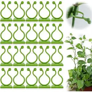 Plant Climbing Wall Fixture Clips, Plant Vine Wall Clips Wall Plant Support Hook, Invisible Plant Support Vine Clips, Plant Fixer Self-Adhesive Hook for Climbing Plants Indoor Outdoor (150, White)