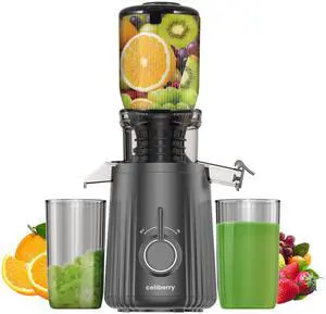 celiberry Slow Masticating Juicer Machines with 4.25" Wide Chute, Self Feeding Electric Juicer Fit Whole Vegetable & Fruit, Quiet Motor Juice Extractor, 98% Juice Purity, Easy Clean, Darkgray Color