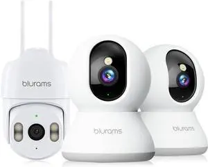 blurams Indoor & Outdoor Bundle Set, Cameras for Home Security with AI Motion Detection,2-Way Talk, Color/IR Night Vision, Compatible with Alexa