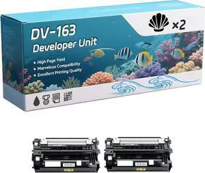 DV-163 Developer Unit Compatible for Kyocera ECOSYS Mita FS-1120D FS-1120DN FS-P2035d Printers, Capacity 60000 Pages, with Chip, Stable Output (2-Pack Black)