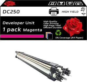 DC250 Developer Unit Compatible for Xerox DocuColor 240 242 250 252 260 WorkCentre 7655 7665 7675 7755 7765 7775 Printers, with Chip, High Yield 90000 Pages, Clear Printing (1 Pack Magenta)