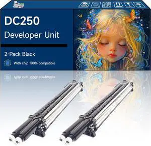 DC250 Developer Unit Compatible with Xerox DocuColor 240 242 250 252 260 WorkCentre 7655 7665 7675 7755 7765 Printers (2 Pack Black)