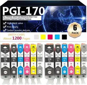 PGI-170 CLI-171 Developer Unit Compatible for Canon PIXMA MG5710 MG6810 MG7710 TS5010 TS6010 TS8010 TS9010 Printer, 1200 Pages, 6 Colors-2 Set