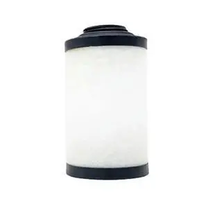 FOR 1PCS Filter Element 731468-0000 731400-0000 731630-0000 731311-0000 731399-0000 731401-0000 For Rietschle Pump FOR 1PCS Filter Element 731468-0000 731400-0000 731630-0000 731311-0000 731399-0000 731401-0000 For Rietschle Pump
