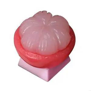 FOR Colorful Resin Mechanical Keyboards Keycaps Fruit Designs Including FOR Colorful Resin Mechanical Keyboards Keycaps Fruit Designs Including