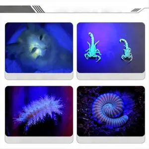 UV Flashlight for Glue Curing Detection UV Flashlight for Glue Curing Detection