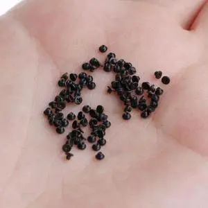 100Pcs Keyboard Screws for Air 11/13/15/17in A1369 Repair 100Pcs Keyboard Screws for Air 11/13/15/17in A1369 Repair