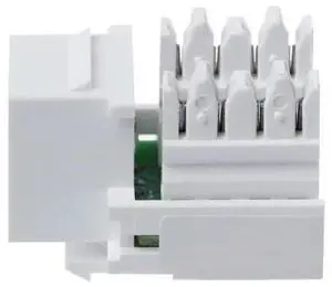 Wall Plate with RJ45 Coupler Insert CAT5E Module Wall Plate with RJ45 Coupler Insert CAT5E Module