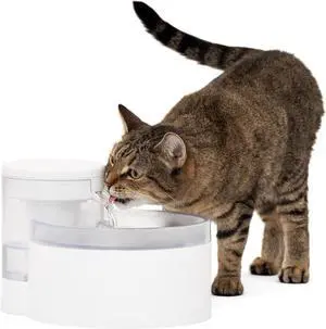 Outlast Pumpless Cat Water Fountain 60 oz/1.7L Indoor Dispenser for Cats, Dishwasher Safe, Easy Assembly and Cleaning, Filter Included White -