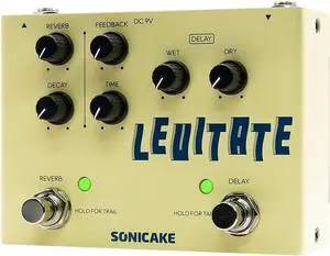 Delay Reverb 2 in 1 Guitar Effects Pedal Digital Levitate
