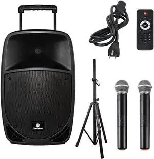 Freedom 12 Portable Wireless 12-Inch 500 Watt Powered Dj/PA Speaker Rechargeable Karaoke System with Bluetooth/USB Drive Read/SD Card Reader/FM/Remote Control/Wireless Microphone