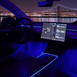 Interior Car Neon Lights Fit for Tesla Model 3 Y 2021 2022 2023 (Center Console+Dashboard+2 Foot Lights) with Armrest Organizer, Tesla Ambient Lighting, APP-Controlled RGB LED Strip Lights