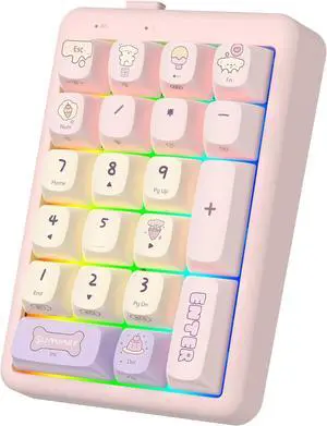 NumberPad,21Keys HotSwappable Numpad,Bluetooth5.0/2.4G/Type-C Wireless Numeric Keypad,Rechargeable Number keypad,RGB Gasket Structure Mechanical Keyboard with PBT Keycap for PC Laptop Notebook