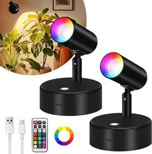 RGBW Spot Lights Indoor 5500mAh Recharge Uplighting with Remote, 13 Color Changing LED Wireless Spotlight Indoor, Dimm Battery Operated Spotlight for Plant Picture Py Decor, 2 Pack