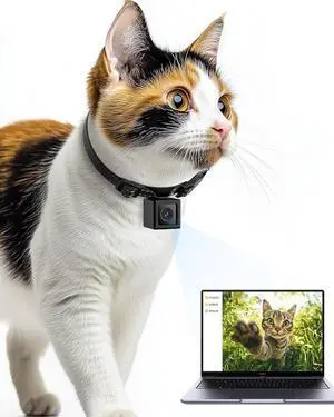 Cat Camera Collar, 1080P Video Recording Cameras for Pets,XS-Size,No App,No Wi-, Cordless Cat & Dog Collar Camera,POV Cam(No Micro-SD Card Included)