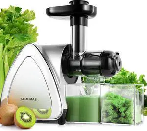 Portable Hand Juicer,Juicer Machines with Reverse Function,Low Noise Electric Cold Press Juicer, High Juice Yield,BPA Free 150W,Easy to Clean for Vegetables and Fruits -Silver