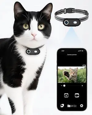 Cat Camera Collar with Phone APP, 1080P HD Video Recording, XS/M-Size Pet POV Cam for Dogs & Big Cats, Cordless Pet Collar Cameras with APP Viewing (XS-Collar)