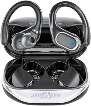 WISDUM True Wireless Earbuds, Bluetooth Headphones 80Hrs Playtime Ear Buds IPX7 Waterproof Sports Earphones Wireless Charging Case Over-Ear Earhooks Sport Bluetooth Headset for fitness, workout..