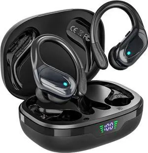 True Wireless Earbuds, Bluetooth Headphones, 80hrs Playback Ear Buds with Power Display Charging Case, Bluetooth in Ear Earphones with Noise Canceling Mic with Earhooks for Sports/Workout