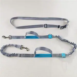 Adjustable Hands-Free Dog Leash & Harness - Padded Handle for Running/Jogging