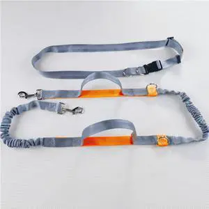 Adjustable Hands-Free Dog Leash & Harness - Padded Handle for Running/Jogging