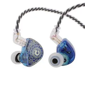 Linsoul TANGZU Waner S.G HiFi 10mm Dynamic Driver PET Diaphragm in-Ear Earphone with Ergonomic Shape, Detachable Recessed 2Pin OFC Braided Cable for Audiophile Musician DJ Stage(Blue, with Mic)