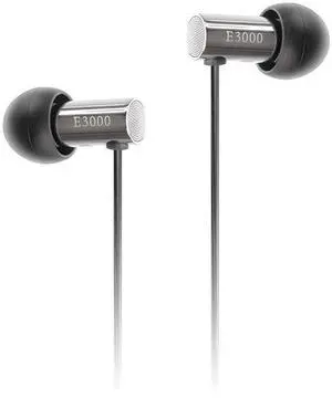 final Canal type earphone "E3000" FI-E3DSSãJapan Domestic genuine productsã