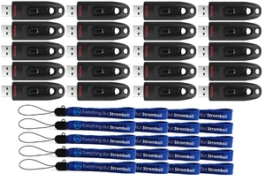 SanDisk 128GB Flash Ultra 3.0 USB Flash Drive 20 Pack High Performance Thumb Drive (SDCZ48-128G-U46) Bundle with 20 Everything But Stromboli Lanyards SanDisk 128GB Flash Ultra 3.0 USB Flash Drive 20 Pack High Performance Thumb Drive (SDCZ48-128G-U46) Bundle with 20 Everything But Stromboli Lanyards