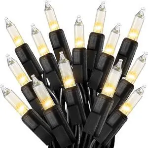Clear Christmas Lights 66FT 200 Incandescent Bulbs Warm White Mini Lights with Black Wire for Christmas Tree, Garland, Thanksgiving, Wedding, Party, Home, Indoor & Outdoor Festival Decoration