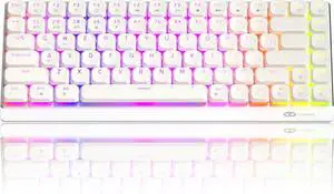 Camiysn Wireless RGB Mechanical Keyboard Moon84 Triple Mode 2.4GHz/BT/USB-C Wired Office White Keyboard for Computer/Desktop/PC/Laptop/Surface/Smart TV and Windows 10/8/7Red Switches