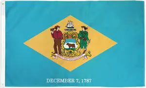 TRONOVIA 3x5 State of Delaware Flag Banner Super PRINTED NYLON grommets Fade Resistant