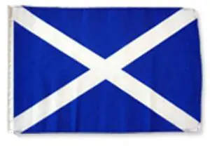 TRONOVIA 12x18 12"x18" Scotland Cross Sleeve Flag Boat Car Garden 100d