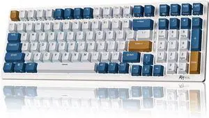 RK ROYAL KLUDGE RK98 Wireless Mechanical Keyboard  Full-size RGB keyboard with BT5.1/2.4G/USB-C tri-mode, hot-swappable brown switches, long battery life, and software support