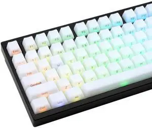 TIMSEKER White Shine Through Side Print Keycap OEM Profile, ABS Minimalist Custom Keycap Set, 130 Keys Translucent Gaming Key Cap for 61/64/87/104/108 ANSI Layout Mechanical Keyboard