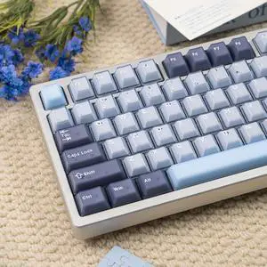 164 Keys Dark Blue Translucent Keycaps PBT Doubleshot Cherry Profile Keycaps Set Fit for 61/64/87/104/108 Cherry Mx Switches Mechanical Keyboards