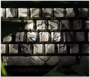 GMKWTL XVX Tiger Double Shot PBT Keycaps, Side Printed Shine Through Keycap Set, Cherry Profile Dye Sublimation Keyboard Keycaps Suitable for 60% 65% 75% 80% 96% 100% Keyboard