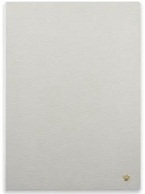 iFLYTEK AINOTE 2 Paper Tablet 10.65" Protective Case-Gray