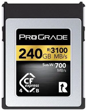 ProGrade Digital Memory Card - CFexpress 4.0 Type B for Cameras | Optimized for Express Transfer of Files & Large Storage | 240GB Gold Series